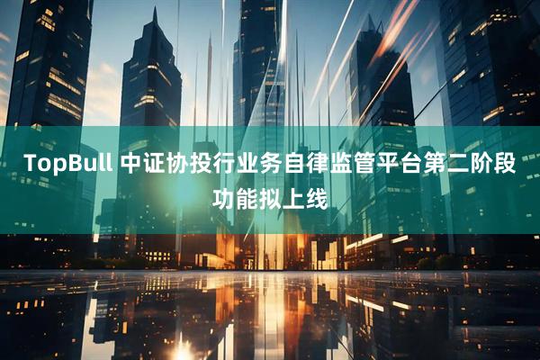 TopBull 中证协投行业务自律监管平台第二阶段功能拟上线