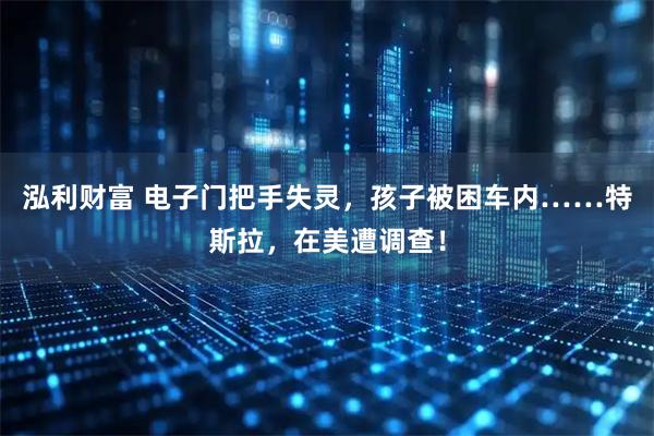 泓利财富 电子门把手失灵，孩子被困车内……特斯拉，在美遭调查！