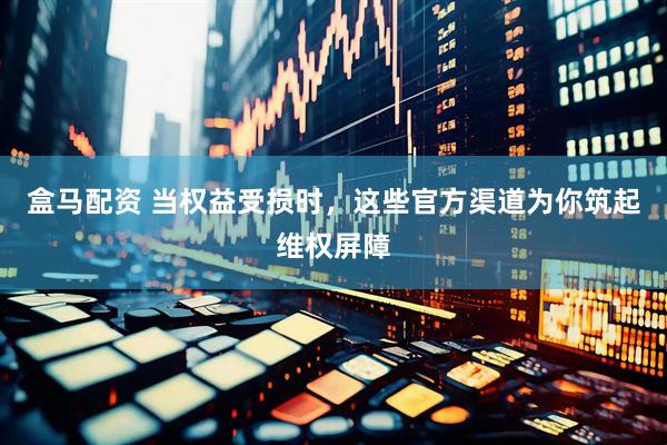 盒马配资 当权益受损时，这些官方渠道为你筑起维权屏障