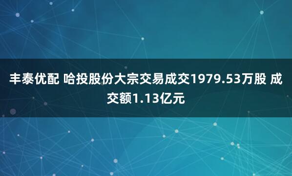 丰泰优配 哈投股份大宗交易成交1979.53万股 成交额1.13亿元