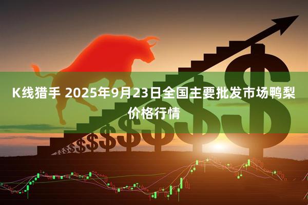 K线猎手 2025年9月23日全国主要批发市场鸭梨价格行情