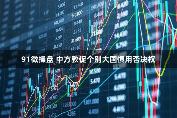 91微操盘 中方敦促个别大国慎用否决权
