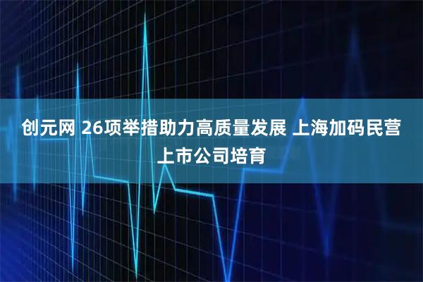创元网 26项举措助力高质量发展 上海加码民营上市公司培育