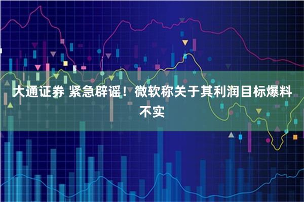 大通证券 紧急辟谣！微软称关于其利润目标爆料不实